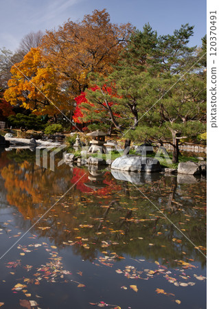Autumn leaves at Sapporo Nakajima Park Autumn leaves at Sapporo Nakajima Park 120370491
