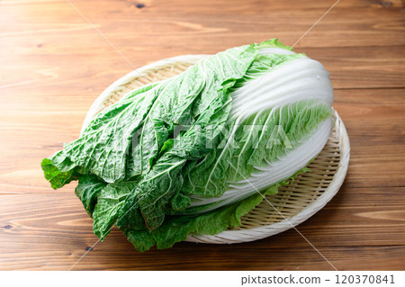 架上的鮮冬大白菜（木紋背景） 120370841