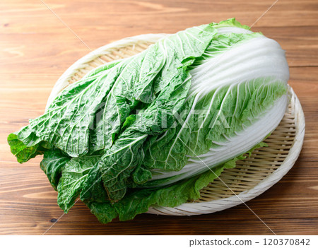 架上的鮮冬大白菜（木紋背景） 120370842