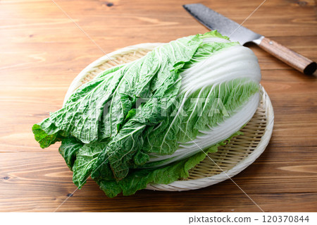 架上的鮮冬大白菜（木紋背景） 120370844