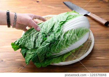 架上的鮮冬大白菜(木紋背景) 架上的鮮冬大白菜(木紋背景) 120370848