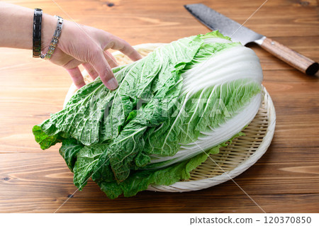 架上的鮮冬大白菜（木紋背景） 120370850