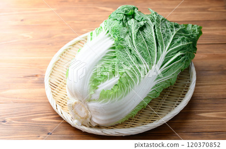 架上的鮮冬大白菜(木紋背景) 架上的鮮冬大白菜(木紋背景) 120370852