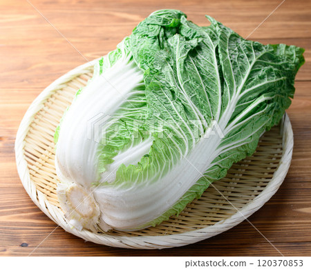 架上的鮮冬大白菜(木紋背景) 架上的鮮冬大白菜(木紋背景) 120370853