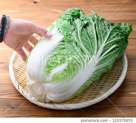 架上的鮮冬大白菜(木紋背景) 架上的鮮冬大白菜(木紋背景) 120370855