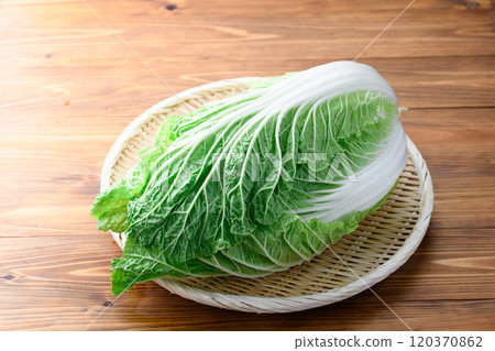 架上的鮮冬大白菜(木紋背景) 架上的鮮冬大白菜(木紋背景) 120370862