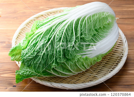 架上的鮮冬大白菜(木紋背景) 架上的鮮冬大白菜(木紋背景) 120370864