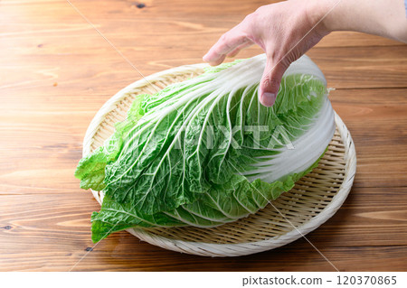 架上的鮮冬大白菜（木紋背景） 120370865