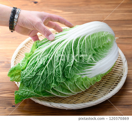 架上的鮮冬大白菜（木紋背景） 120370869