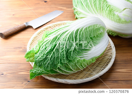 架上的鮮冬大白菜（木紋背景） 120370876