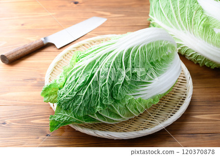 架上的鮮冬大白菜（木紋背景） 120370878