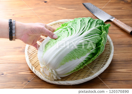 架上的鮮冬大白菜（木紋背景） 120370890