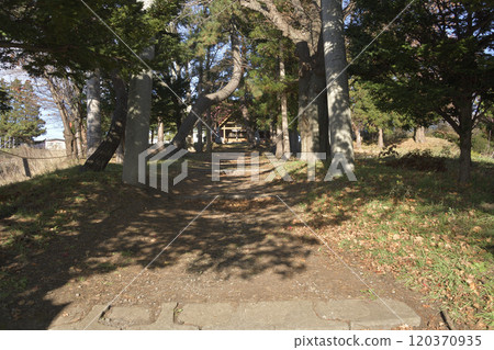 拍攝北海道函館神山稻荷神社境內的深秋景色 拍攝北海道函館神山稻荷神社境內的深秋景色 120370935