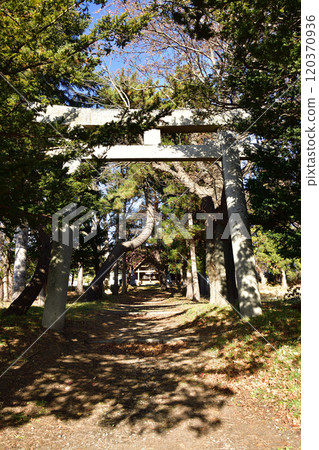 Photographing the grounds of Kamiyama Inari Shrine in Hakodate, Hokkaido in late autumn Photographing the grounds of Kamiyama Inari Shrine in Hakodate, Hokkaido in late autumn 120370936