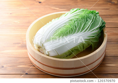Fresh winter cabbage in a bucket 120370970