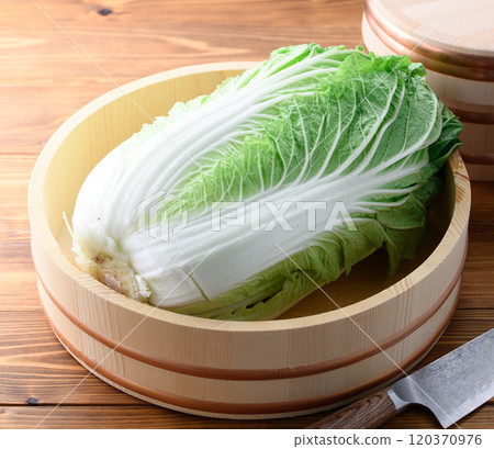 Fresh winter cabbage in a bucket 120370976