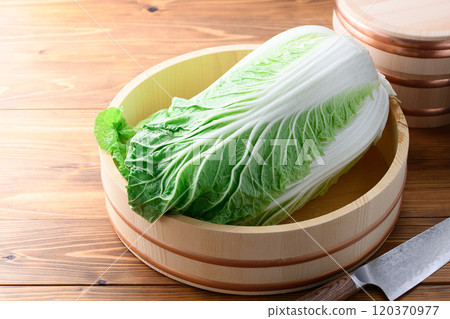 新鮮的冬季大白菜在浴缸裡 120370977