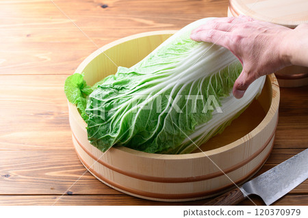 新鮮的冬季大白菜在浴缸裡 120370979
