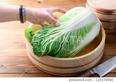 新鮮的冬季大白菜在浴缸裡 120370980