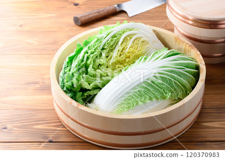 新鮮的冬季大白菜在浴缸裡 新鮮的冬季大白菜在浴缸裡 120370983