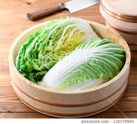 新鮮的冬季大白菜在浴缸裡 新鮮的冬季大白菜在浴缸裡 120370984