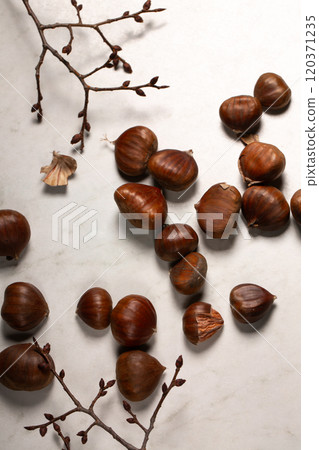 Fresh harvest of edible chestnuts scattered on a white table Fresh harvest of edible chestnuts scattered on a white table 120371235