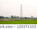 High tension electric poles on the paddy fields 120371303