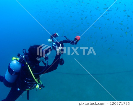 Underwater cameraman taking a photo 120371755