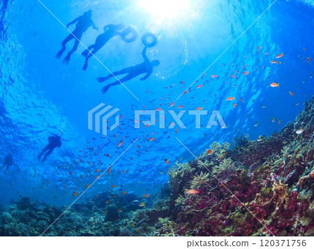 在沖繩宮古島美麗的大海中浮潛 120371756