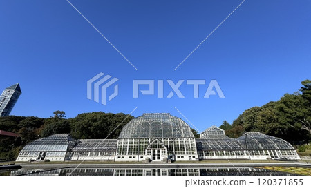 名古屋市東山動植物園 名古屋市東山動植物園 120371855