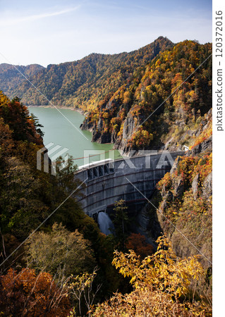 豐平峽的美麗秋葉 120372016