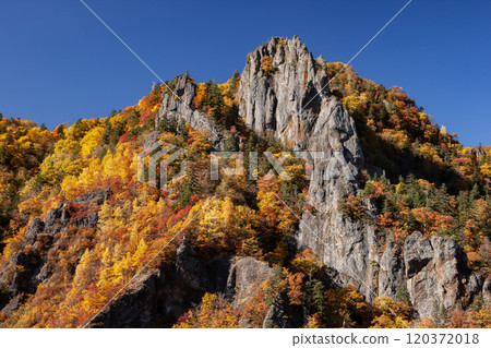 Spectacular autumn foliage at Hoheikyo Gorge Spectacular autumn foliage at Hoheikyo Gorge 120372018