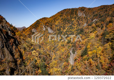 Spectacular autumn foliage at Hoheikyo Gorge 120372022