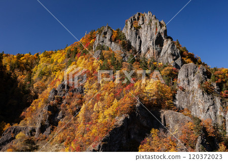 Spectacular autumn foliage at Hoheikyo Gorge Spectacular autumn foliage at Hoheikyo Gorge 120372023