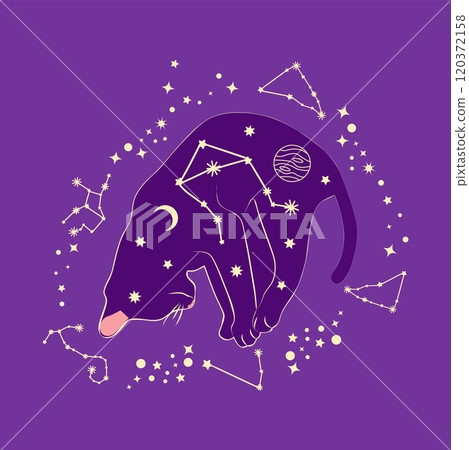 Mystical cat in boho style surrounded by stars, zodiac signs, balls, paw prints, silhouette collection. Esotericism and mysticism, occultism. Cartoon flat vector illustrations Mystical cat in boho style surrounded by stars, zodiac signs, balls, paw prints, silhouette collection. Esotericism and mysticism, occultism. Cartoon flat vector illustrations 120372158