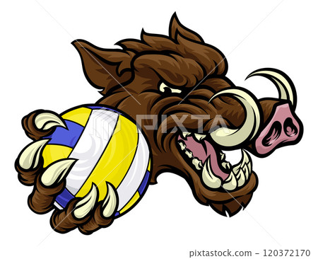 Boar Razorback Hog Volleyball Volley Ball Mascot Boar Razorback Hog Volleyball Volley Ball Mascot 120372170