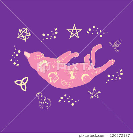 Mystical cat in boho style surrounded by stars, zodiac signs, balls, paw prints, silhouette collection. Esotericism and mysticism, occultism. Cartoon flat vector illustrations 120372187