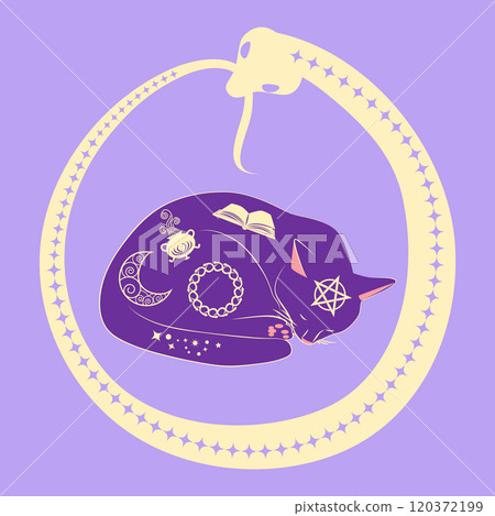 Mystical cat in boho style surrounded by stars, zodiac signs, balls, paw prints, silhouette collection. Esotericism and mysticism, occultism. Cartoon flat vector illustrations 120372199