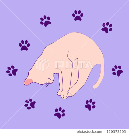Mystical cat in boho style surrounded by stars, zodiac signs, balls, paw prints, silhouette collection. Esotericism and mysticism, occultism. Cartoon flat vector illustrations Mystical cat in boho style surrounded by stars, zodiac signs, balls, paw prints, silhouette collection. Esotericism and mysticism, occultism. Cartoon flat vector illustrations 120372203