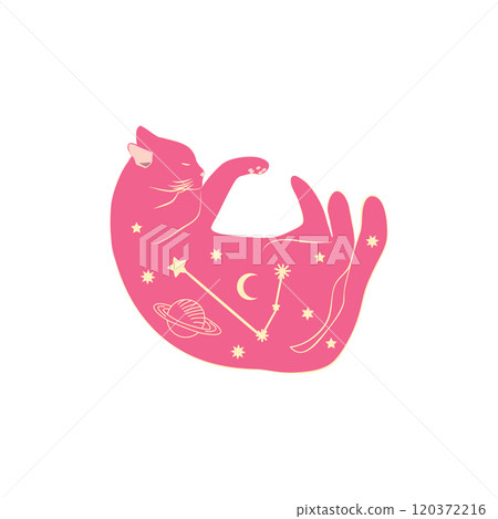 Mystical cats in boho style, silhouette collection. Esotericism and mysticism, occultism. Cartoon flat vector 120372216
