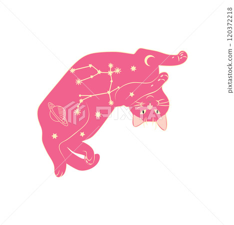 Mystical cats in boho style, silhouette collection. Esotericism and mysticism, occultism. Cartoon flat vector 120372218