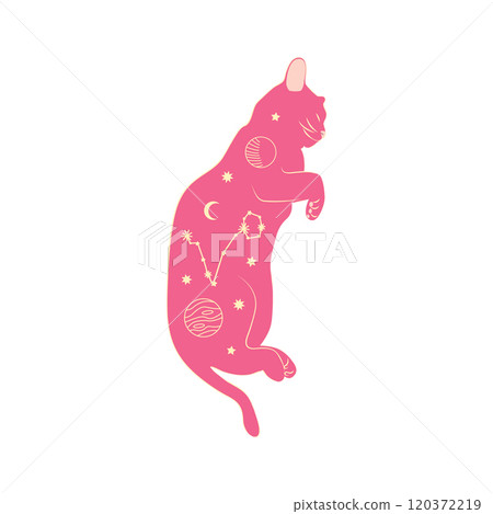 Mystical cats in boho style, silhouette collection. Esotericism and mysticism, occultism. Cartoon flat vector 120372219