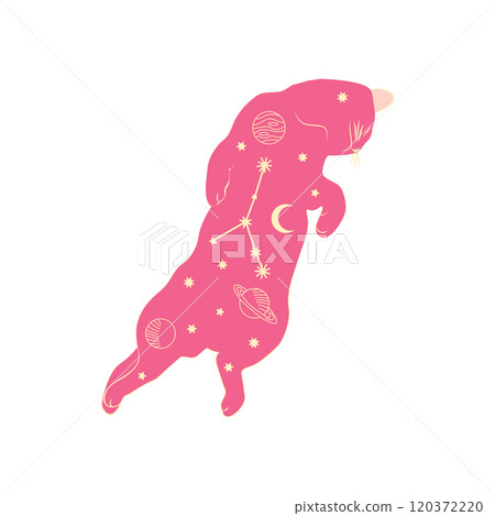 Mystical cats in boho style, silhouette collection. Esotericism and mysticism, occultism. Cartoon flat vector 120372220