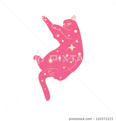 Mystical cats in boho style, silhouette collection. Esotericism and mysticism, occultism. Cartoon flat vector Mystical cats in boho style, silhouette collection. Esotericism and mysticism, occultism. Cartoon flat vector 120372225