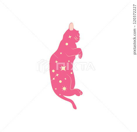 Mystical cats in boho style, silhouette collection. Esotericism and mysticism, occultism. Cartoon flat vector Mystical cats in boho style, silhouette collection. Esotericism and mysticism, occultism. Cartoon flat vector 120372227