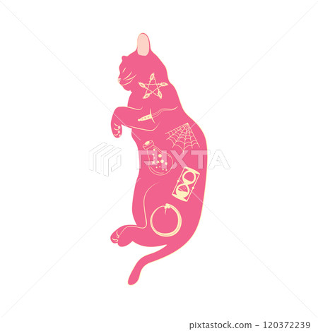 Mystical cats in boho style, silhouette collection. Esotericism and mysticism, occultism. Cartoon flat vector 120372239