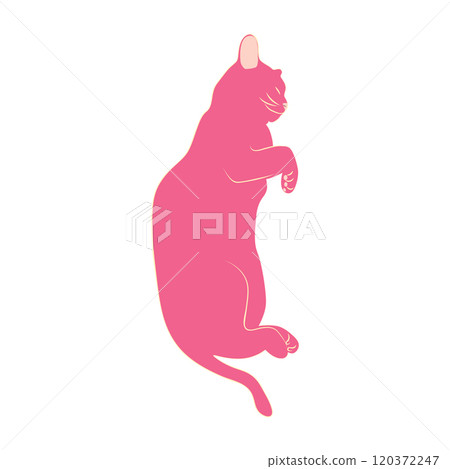 Mystical cats in boho style, silhouette collection. Esotericism and mysticism, occultism. Cartoon flat vector 120372247