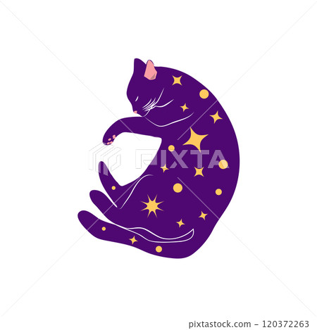Mystical cats in boho style, silhouette collection. Esotericism and mysticism, occultism. Cartoon flat vector 120372263
