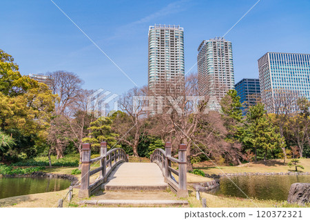 [Tokyo] A relaxing space in Tokyo: Hama-rikyu Gardens and skyscrapers surrounded by fresh greenery 120372321