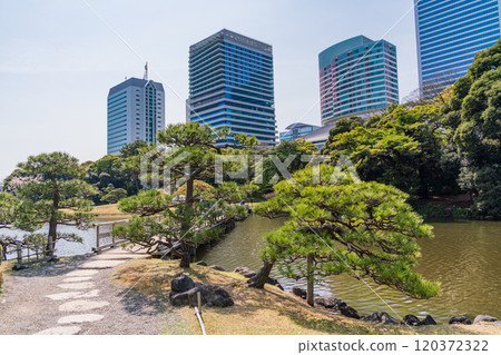 [Tokyo] A relaxing space in Tokyo: Hama-rikyu Gardens and skyscrapers surrounded by fresh greenery 120372322